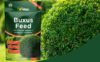 Vitax Buxus Pouch 1Kg (3) Vitax Buxus Feed 1Kg Pouch – Specialist Fertiliser for Healthy Buxus Hedges & Plants