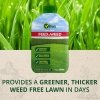Vitax Feed & Weed 1 litre (1) Vitax Feed & Weed 1 litre