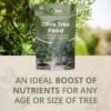 Version 1.0.0 Vitax Olive Tree Feed 0.9Kg – Organic Fertiliser for Healthy Growth & Fruiting