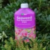 Vitax Seaweed Plus Sequestered Iron 500ml