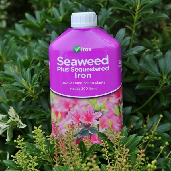 Vitax Seaweed plus sequestered iron 1L