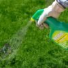 Weedol Lawn Weed Control 1L (5) Weedol Lawn Weed Killer Ready to Use – 1L