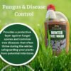 Winter Tree Wash (2) Winter Tree Wash 500ml – Organic Insect & Aphid Egg Control for Fruit Trees and Bushes