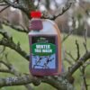 Winter Tree Wash (4) Winter Tree Wash 500ml – Organic Insect & Aphid Egg Control for Fruit Trees and Bushes