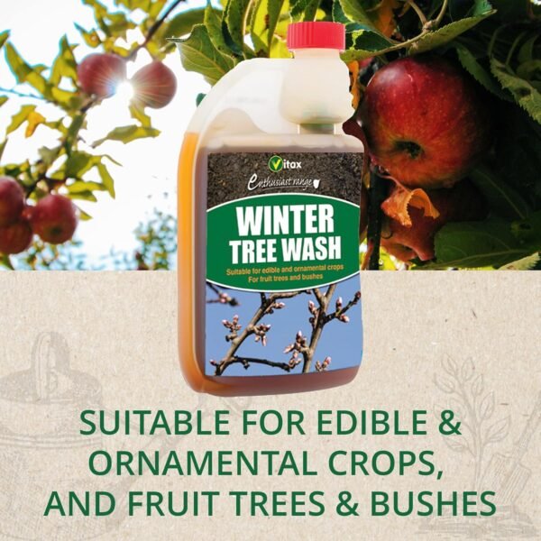 Winter Tree Wash (6) Winter Tree Wash 500ml – Organic Insect & Aphid Egg Control for Fruit Trees and Bushes