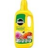 41uVfAMBySL._AC_US100_ Miracle-Gro All Purpose Concentrated Liquid Plant Food 800ml – Fast-Acting Feed for All Plants