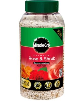 517MVK1HDLL Miracle-Gro Granular Plant Food for Roses & Shrubs 900g – Continuous Feed Fertiliser