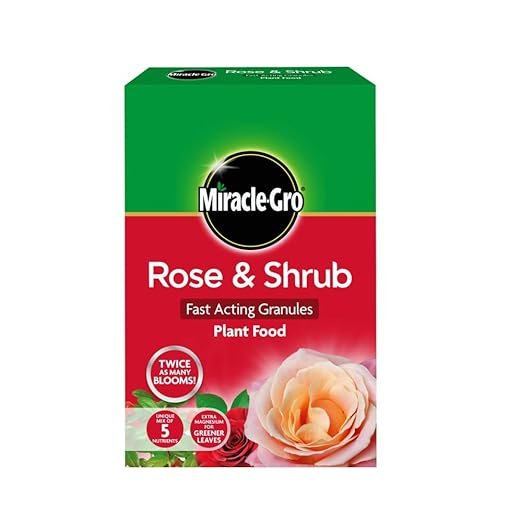 51f4-4QAeEL._SX522_ Miracle-Gro Fast-Acting Granular Plant Food for Roses & Shrubs 3kg – Rapid Growth Fertiliser