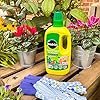 61y2ijv9xgL._AC_US100_ Miracle-Gro Pour & Feed 1L – Ready-to-Use Liquid Plant Food for Indoor & Outdoor Plants