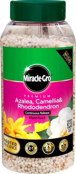 71GEkM0a5BL._AC_SL1500_ Miracle-Gro Azalea, Camellia & Rhododendron Continuous Release Plant Food 900g – Long-Lasting Ericaceous Fertiliser
