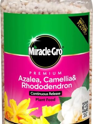 71GEkM0a5BL._AC_SL1500_ Miracle-Gro Azalea, Camellia & Rhododendron Continuous Release Plant Food 900g – Long-Lasting Ericaceous Fertiliser