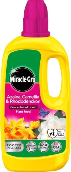 71MEpa3zeaL._AC_SL1500_ Miracle-Gro Liquid Plant Food for Azalea, Camellia & Rhododendron 800ml – Liquid Ericaceous Fertiliser