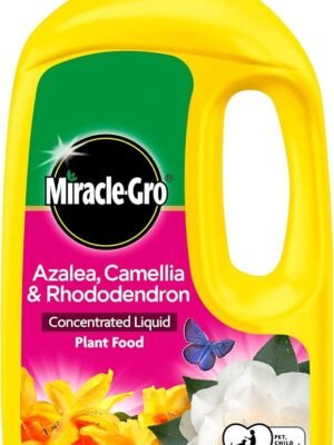 Miracle-Gro Liquid Plant Food for Azalea, Camellia & Rhododendron 800ml – Liquid Ericaceous Fertiliser