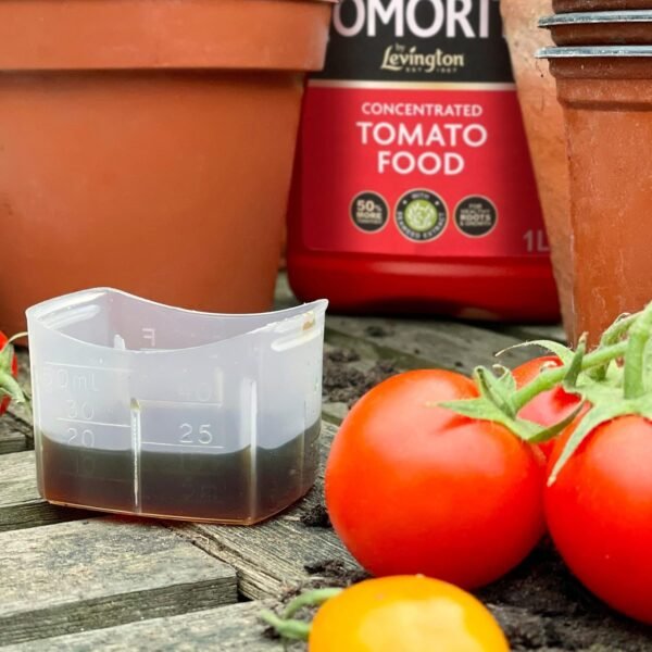 71NcWe16VZL._SL1500_ Levington Tomorite Concentrate 1L + 20% Free – Premium Tomato & Fruiting Plant Feed