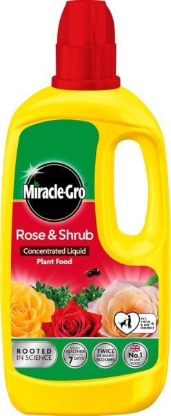 71umAr1dGxL._AC_SL1500_ (1) Miracle-Gro Liquid Plant Food for Roses & Shrubs 800ml – Ready-to-Use Feed for Vibrant Flowers