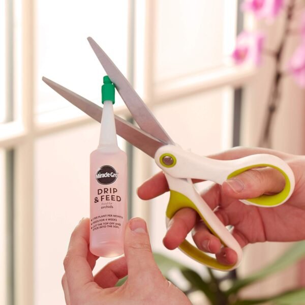 Miracle-Gro Drip & Feed Orchid – Pack of 3 Ready-to-Use Orchid Feeders for 1 Month’s Care