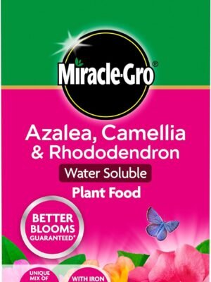 81pZsTHxWaL._AC_SL1500_ Miracle-Gro Azalea, Camellia & Rhododendron Soluble Plant Food 1kg – Fast-Acting Ericaceous Feed for Acid-Loving Plants