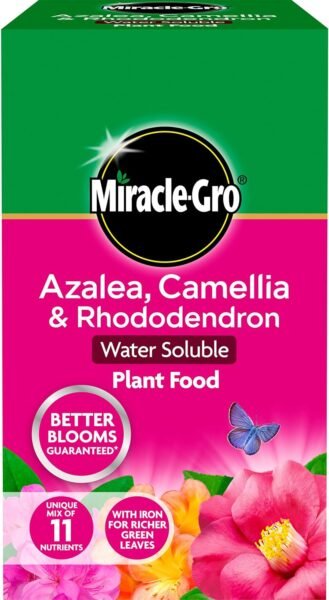 81pZsTHxWaL._AC_SL1500_ Miracle-Gro Azalea, Camellia & Rhododendron Soluble Plant Food 1kg – Fast-Acting Ericaceous Feed for Acid-Loving Plants