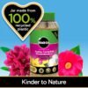 81srL2B1o+L._AC_SL1500_ Miracle-Gro Azalea, Camellia & Rhododendron Continuous Release Plant Food 900g – Long-Lasting Ericaceous Fertiliser