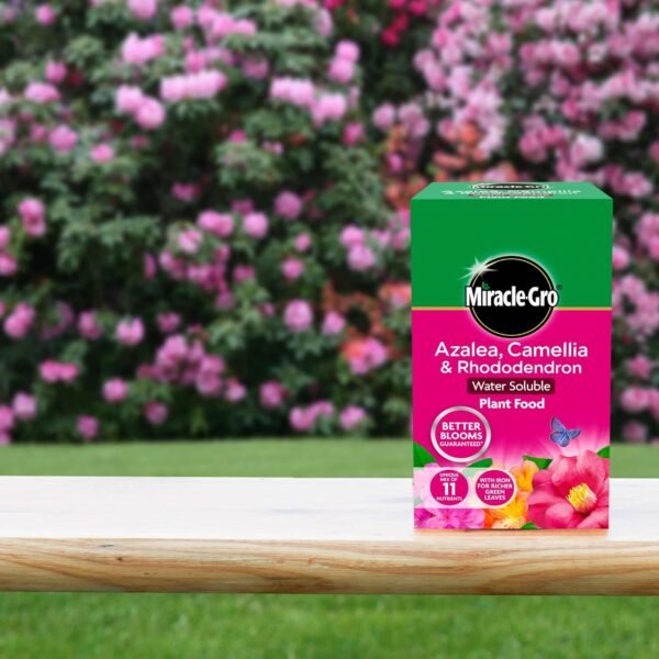 81tC+Gc0IbL._AC_SL1500_ Miracle-Gro Azalea, Camellia & Rhododendron Soluble Plant Food 1kg – Fast-Acting Ericaceous Feed for Acid-Loving Plants