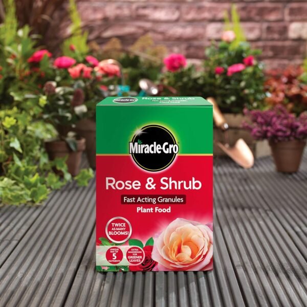 81+xGdpArtL._AC_SL1500_ Miracle-Gro Fast-Acting Granular Plant Food for Roses & Shrubs 3kg – Rapid Growth Fertiliser