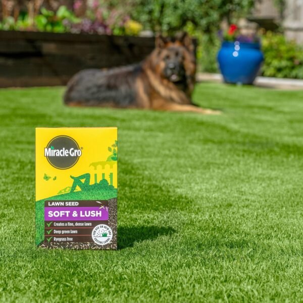 Miracle-Gro Lawn Seed Soft & Lush – 28m² (840g)
