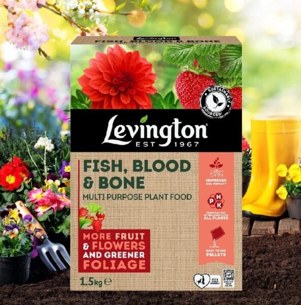 91HXZr06fLL._SL1500_ Levington Fish, Blood & Bone Organic Fertiliser 1.5kg – Natural Plant Food