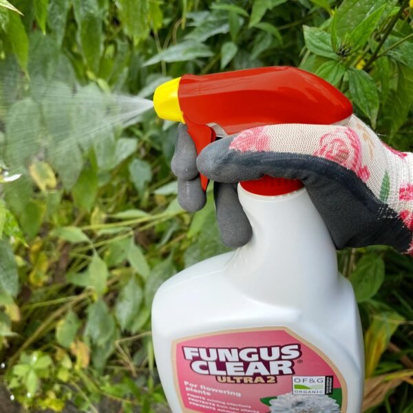 FungusClear Ultra 2 Ready-to-Use – 800 ml Fungicide for Roses, Ornamentals & Edibles