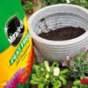 A1ZNhd4SEfS._AC_SL1500_ Miracle-Gro All Purpose Compost – 50L Premium Nutrient-Rich Growing Mix for Indoor & Outdoor Plants