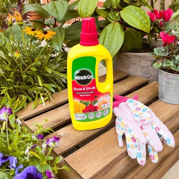 A1rCxjstA+L._AC_SL1500_ Miracle-Gro Liquid Plant Food for Roses & Shrubs 800ml – Ready-to-Use Feed for Vibrant Flowers