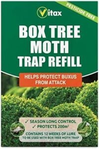 Box Tree Moth Trap Refill Pack | Helps Protect Buxus from Moth Attack