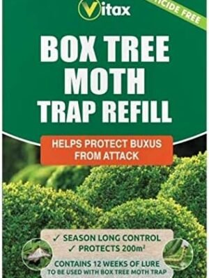 51aal4BOY8L._AC_ Box Tree Moth Trap Refill Pack | Helps Protect Buxus from Moth Attack