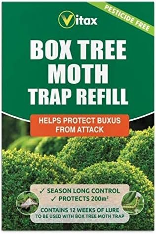 51aal4BOY8L._AC_ Box Tree Moth Trap Refill Pack | Helps Protect Buxus from Moth Attack