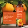 612TWVeOIXL Citrus Feed – 250ml | Promotes Strong Growth & Improved Fruiting