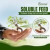 61Mcc0vuzlL._SL1000_ (1) Bonsai Soluble Feed – 200g | Encourages Healthy Foliage & Stronger Root Growth