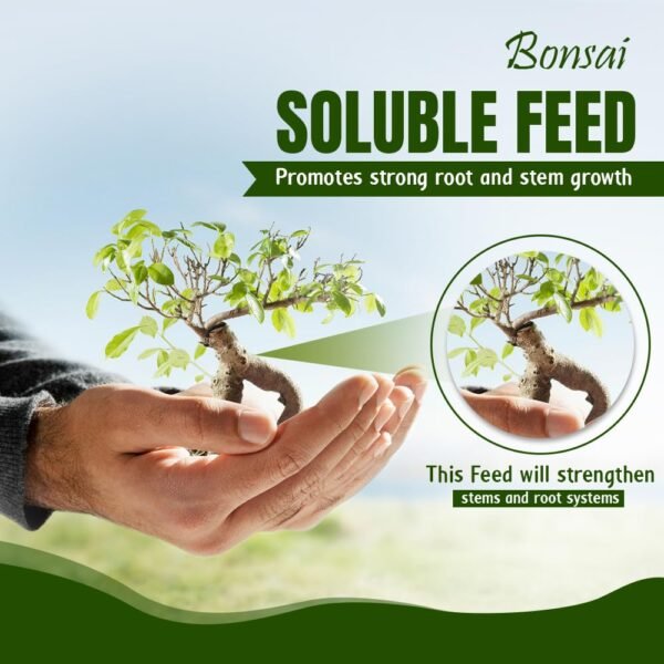 61Mcc0vuzlL._SL1000_ (1) Bonsai Soluble Feed – 200g | Encourages Healthy Foliage & Stronger Root Growth