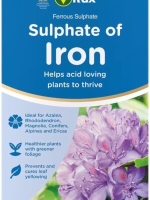 711S81w2QTL._AC_SL1500_ Sulphate of Iron – 1kg | Improves Soil for Acid-Loving Plants & Enhances Leaf Colour