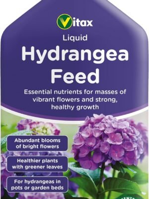 7133jydNX2L._AC_SL1500_ Hydrangea Liquid Feed – 1L | For Masses of Vibrant Flowers & Strong, Healthy Growth