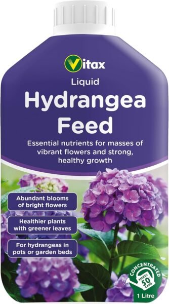 7133jydNX2L._AC_SL1500_ Hydrangea Liquid Feed – 1L | For Masses of Vibrant Flowers & Strong, Healthy Growth