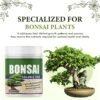 71hSgGf+34L._SL1000_ Bonsai Soluble Feed – 200g | Encourages Healthy Foliage & Stronger Root Growth