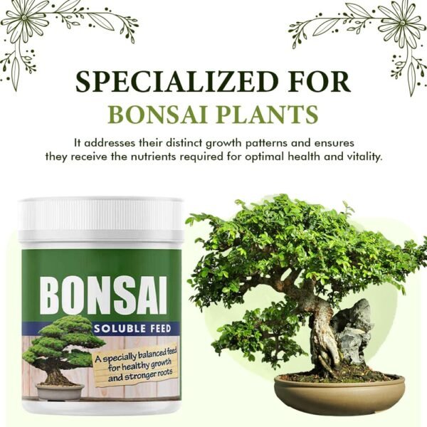 71hSgGf+34L._SL1000_ Bonsai Soluble Feed – 200g | Encourages Healthy Foliage & Stronger Root Growth