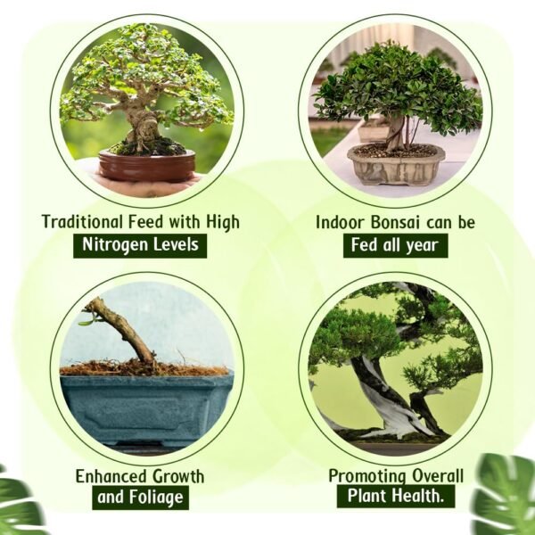 71xR8p8XxmL._SL1000_ Bonsai Soluble Feed – 200g | Encourages Healthy Foliage & Stronger Root Growth