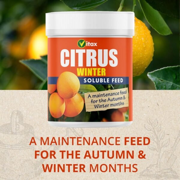 Citrus Winter Soluble Feed – 200g | Maintenance Nutrition for Citrus Plants in Autumn & Winter