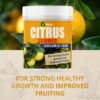 81A+HMQyrmL._AC_SL1500_ Citrus Summer Soluble Feed – 200g | Promotes Strong Growth & Improved Fruiting
