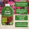 81G8Fi3Yp0L._SL1500_ Acer Liquid Feed – 1L | Enhances Vibrant Foliage & Promotes Stronger Growth