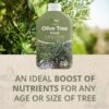 81Ki+ctZjhL._SL1500_ Olive Tree Feed – 1L | Boosts Growth & Strength in Olive Trees of Any Age or Size
