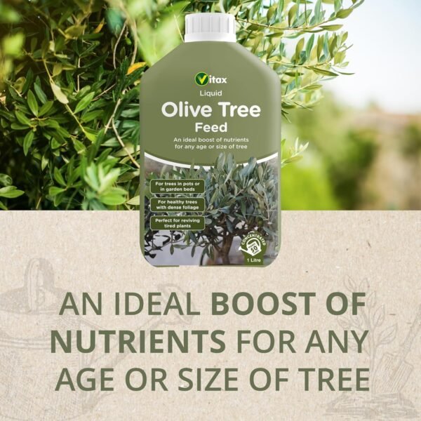81Ki+ctZjhL._SL1500_ Olive Tree Feed – 1L | Boosts Growth & Strength in Olive Trees of Any Age or Size