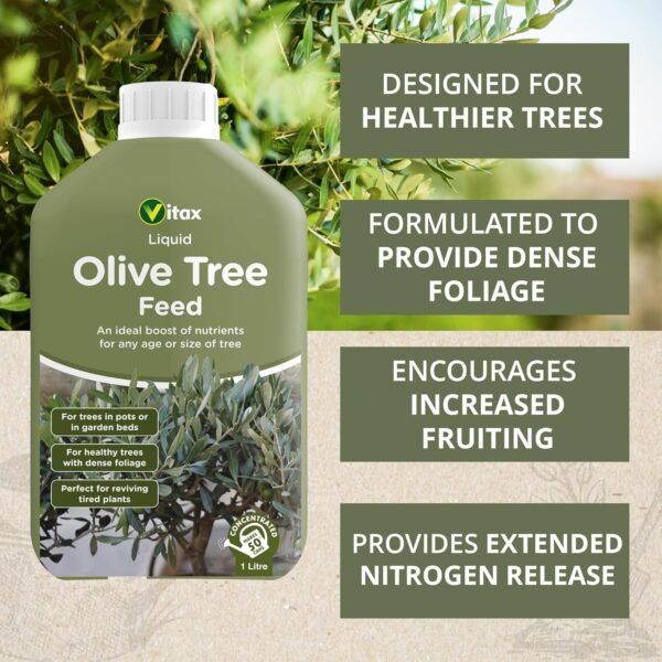 81L+HxHCqpL._SL1500_ Olive Tree Feed – 1L | Boosts Growth & Strength in Olive Trees of Any Age or Size