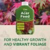 81LWljhOzzL._SL1500_ Acer Liquid Feed – 1L | Enhances Vibrant Foliage & Promotes Stronger Growth