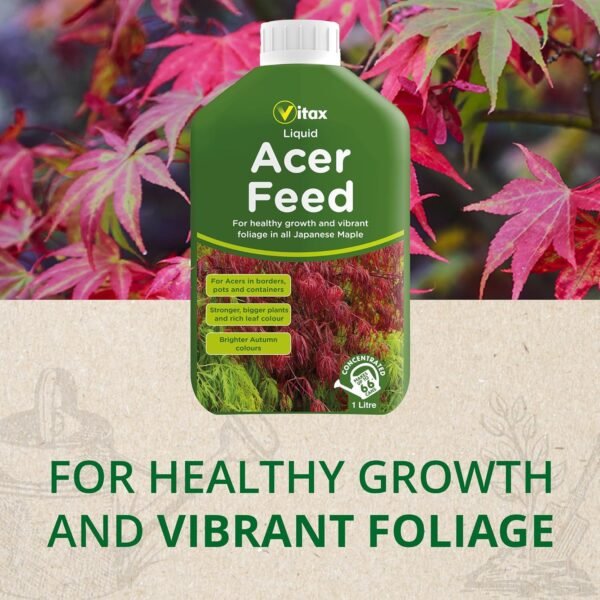 81LWljhOzzL._SL1500_ Acer Liquid Feed – 1L | Enhances Vibrant Foliage & Promotes Stronger Growth
